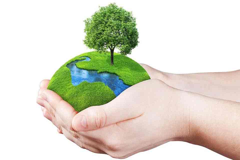 world environment day