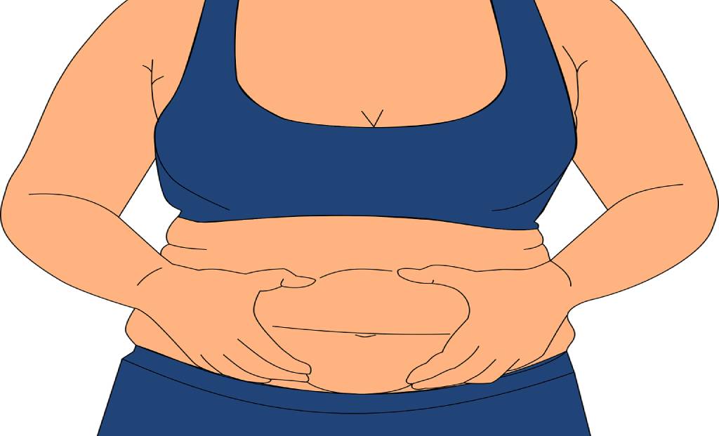 Abdominal fat is also known as visceral fat.