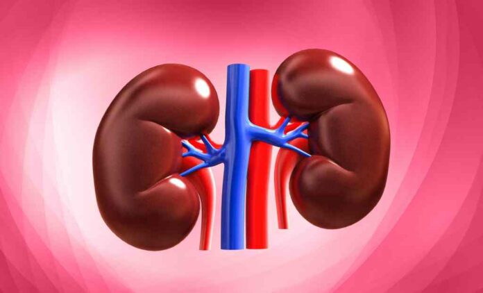 Renowned Nephrologist Shares Tips for Maintaining Healthy Kidneys through Diet and Lifestyle Choices