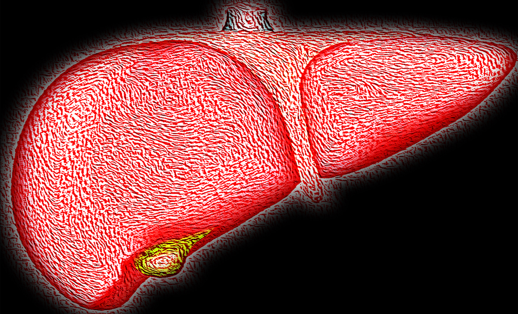 Among all, fatty liver is a prevalent health condition