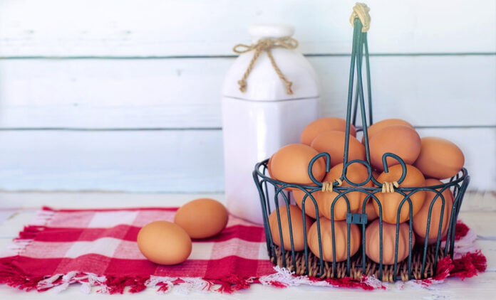 Eggs are often relied upon as a protein source,