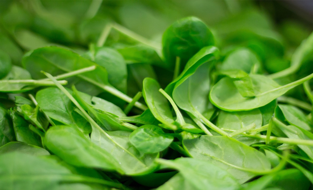 Spinach is packed with nutrients when consumed raw, but reheating it is not advisable.