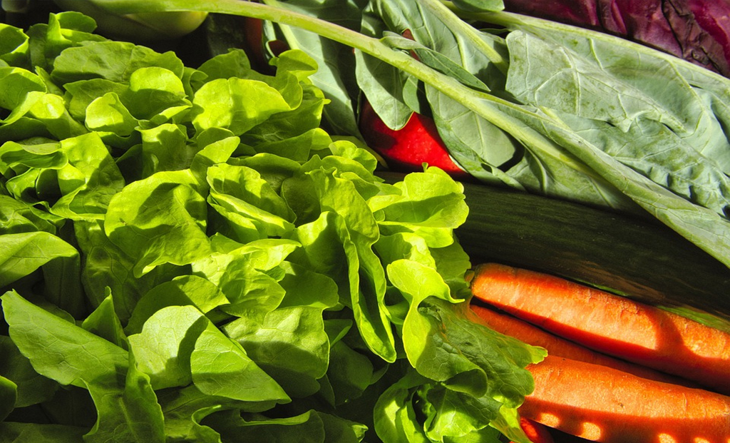 Vegetarian diet has overall health benefits.