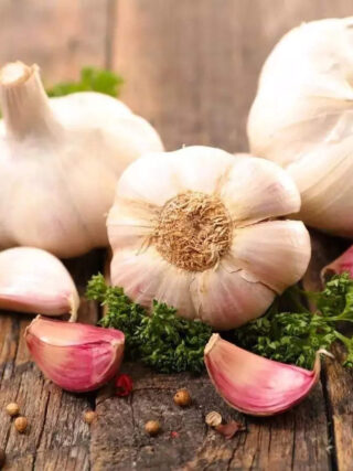 Garlic