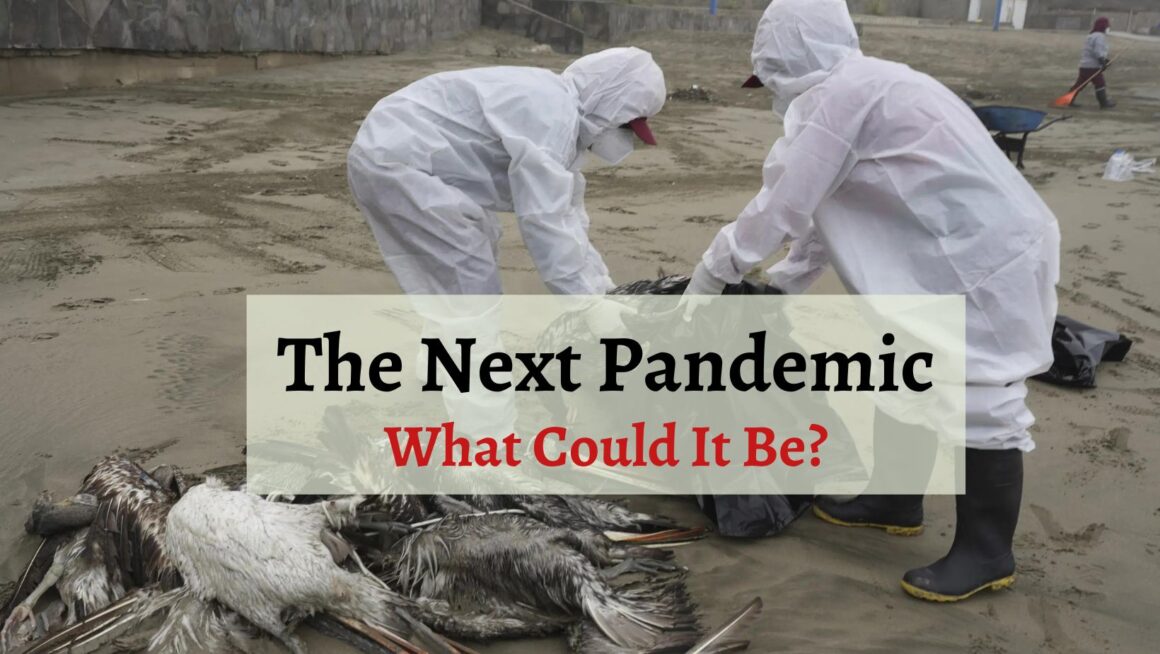 Why Bird Flu Could Be the Biggest Health Threat in 2025 HealthWire