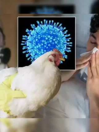 Bird Flu