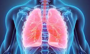 Pulmonary Arterial Hypertension