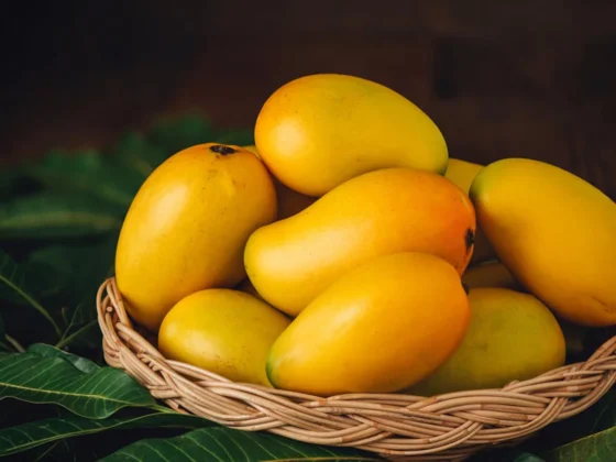 Nutritional Breakdown: How Mangoes Impact Blood Sugar Levels.