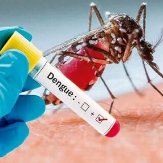 Dengue And Chikungunya