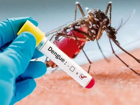 Dengue And Chikungunya