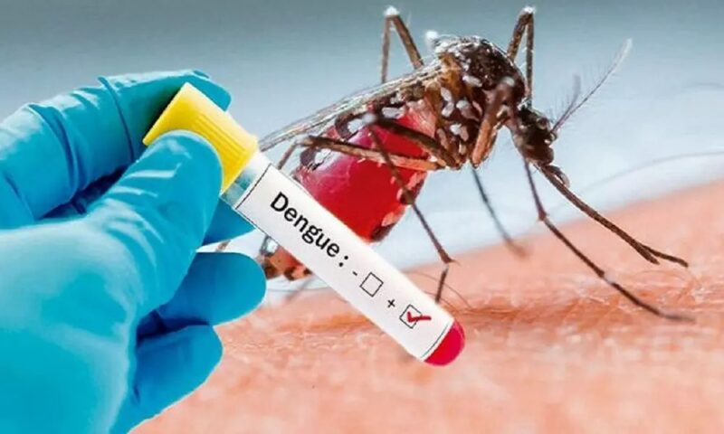 Dengue And Chikungunya