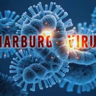 Ebola-Like Marburg Virus